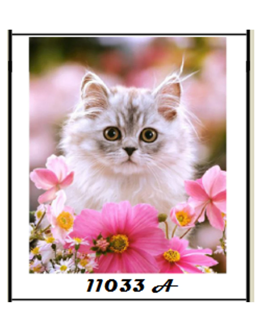 kaiti-ergoxeira-diamond-painting-me-chantres-20x30-11033-gataki-roz-louloudi