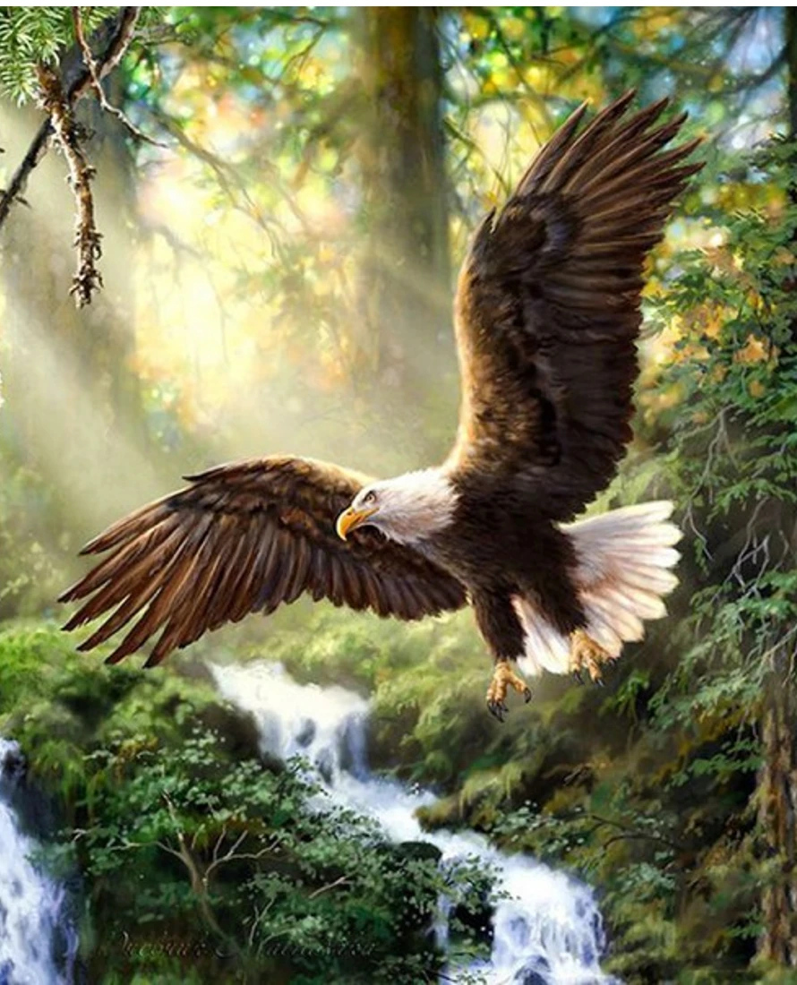 kaiti-ergoxeira-mallia-pleksimatos-eidi-cheirotchnias-diamond-painting-chantres-51627-aetos-pou-peta