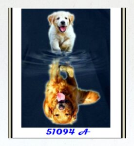 DIAMOND PAINTING ΜΕ ΧΑΝΤΡΕΣ 20Χ30cm ΚΩΔ.51094 ΣΚΥΛΑΚΙΑ GOLDEN RETRIEVER
