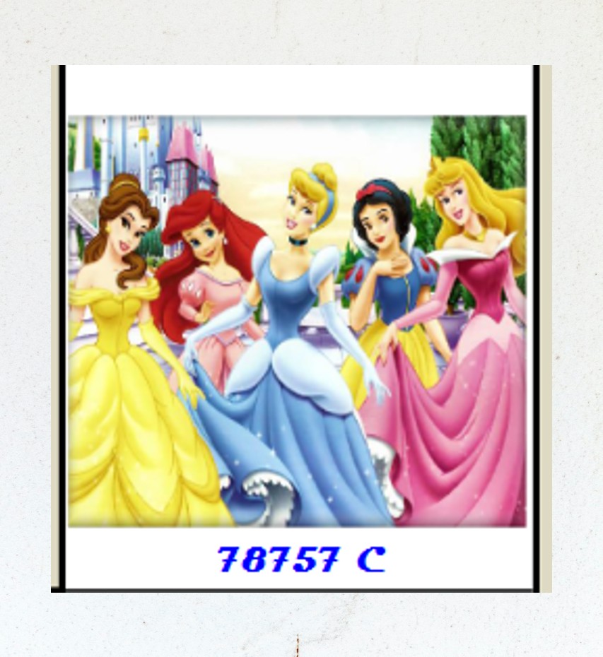 kaiti-ergoxeira-xeirotexnies-diamond-painting-30X30-78757-prigkipisses