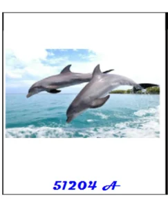 DIAMOND PAINTING ΜΕ ΧΑΝΤΡΕΣ 20Χ30cm ΚΩΔ.51204 ΔΕΛΦΙΝΙΑ