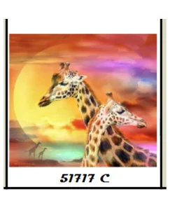 DIAMOND PAINTING ΜΕ ΧΑΝΤΡΕΣ 30Χ30cm ΚΩΔ.51717 ΚΑΜΗΛΟΠΑΡΔΑΛΗΣ