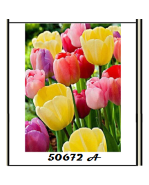 DIAMOND PAINTING ΜΕ ΧΑΝΤΡΕΣ 20Χ30cm ΚΩΔ.50672A ΠΟΛΥΧΡΩΜΕΣ ΤΟΥΛΙΠΕΣ