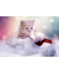 DIAMOND PAINTING ΜΕ ΧΑΝΤΡΕΣ 20Χ30cm ΚΩΔ.10927 ΓΑΤΑΚΙ ΣΤΑ ΣΥΝΝΕΦΑ