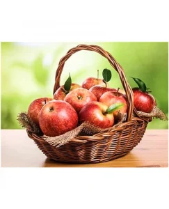 DIAMOND PAINTING ΜΕ ΧΑΝΤΡΕΣ 20Χ30cm ΚΩΔ.60943 ΚΑΛΑΘΙ ΜΕ ΜΗΛΑ